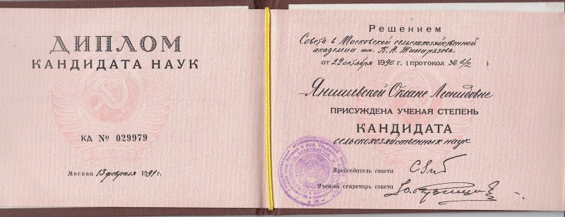 Домумент об образовании