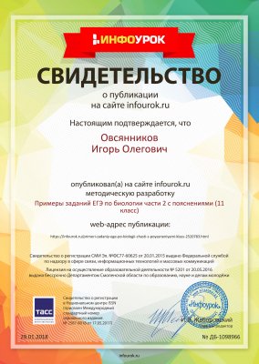 Домумент об образовании