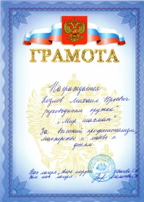 Домумент об образовании